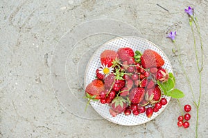 Top view on white plate with fresh organic strawberry, red current and wild berries and flowers on grey background