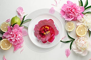 Top view of white plate over spring flowers. Flat lay, spring summer season holiday, femenine wedding table setting, valentine,