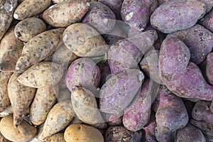 Top view of White and purple Camote variants on display at a supermarket or marketplace. Sweet potatoes for sale photo