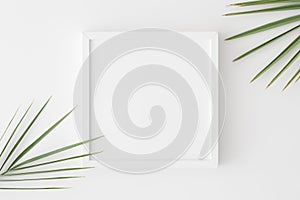 Top view of a white square frame mockup with palm leaf decoration