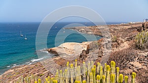 top view of wild golden diego hernandez beach