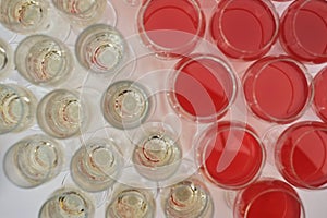 Top view of wine glasses filled with champagne and glasses of red juice