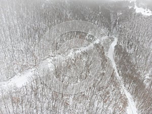 Top view of a winter forest. with hairpin bend