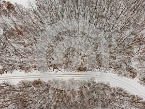 Top view of a winter forest. with a road in the middle of trees