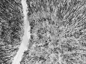 Top view of a winter forest. with a road in the middle of trees