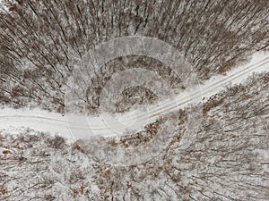 Top view of a winter forest. with a road in the middle of trees