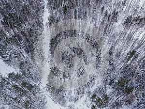 Top view on the winter snow-covered forest from drone