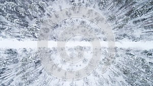 Top view at wintry slippery road passing through the snow covered coniferous forest