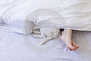 Top view of woman foot on bed behind a white cover with her cute small dog besides. Daytime, pets indoors, lifestyle