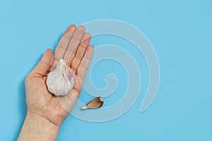 Top view of woman hand holding fresh garlic on blue background