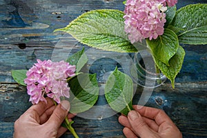 Top view of a woman hands arranging the hydrangeas in a glass jar