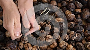 Top view of woman hands eliminate the walnut husk