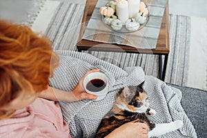 Top view woman with plaid drinking hot tea and stroking relaxed multicolored cat on sofa at home decorated for fall