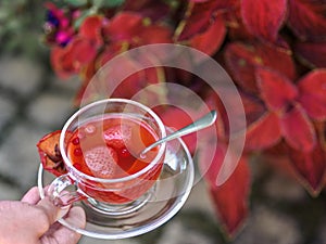 A top view of a girl`s hand with a cup of fruity tea on a natural background. Strawberry balsamico herbal tea.