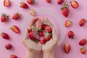 Top view of woman's hands holding ripe juicy strawberries on a pink background