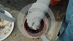 Top view of women`s hands in gloves growing flowers planting seeds in soil working together