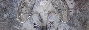 Top view of women`s and men`s sneakers in gray, standing opposite close to each other. The concept of the relationship between a
