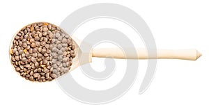 Top view of wood spoon with unhulled red lentils photo