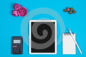 Top view of the workspace on a blue background. calculator, Notepad, pencil, screen and pink flower buds