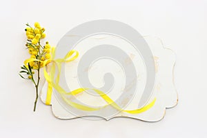 top view of yellow mimosa flowers and empty board over white background. For mock up, copy space