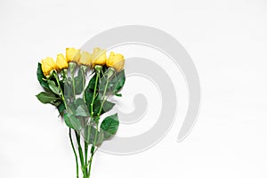 Top view of yellow roses