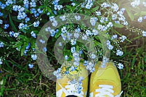Top view of yellow sneakers on the green lawn full of blue small flowers. Hello summer! Nature