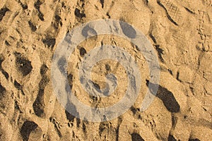 Top view of yellowish brown textured sand with patterns at Jampore beach of Daman in India as background