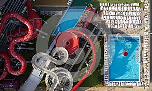 Top view - young people relax in swimming pool.