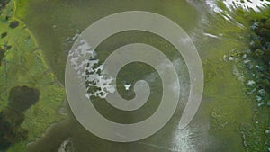 Top of Water in a Natural Wetland Aerial