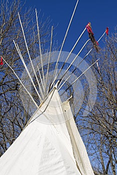 Top of white tepee with trees