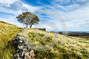 Top Withens, Haworth Moor. Yorkshire