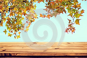 Top of wood table with beautiful autumn maple tree on sky background