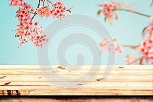 Top of wood table with pink cherry blossom flower sakura on sky background in spring season