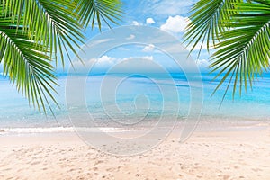 Top of wood table with seascape and palm leaves, blur bokeh light of calm sea and sky at tropical beach background.blurred blue