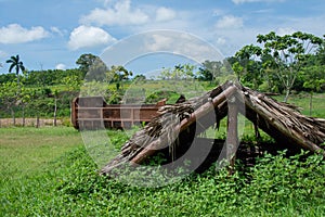 Top of a wooden straw hut on a lush green farm Cuba