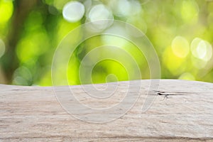 Top wooden table with sunny abstract green nature background, bl