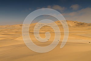 On top of a yellow sand dune