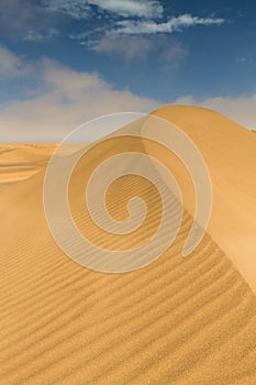 On top of a yellow sand dune