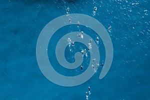 Topdown view of swimmers during open water competition