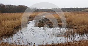 Tophill Low Nature reserve