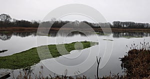 Tophill Low Nature reserve