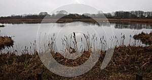 Tophill Low Nature reserve