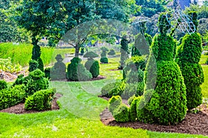 Topiary Garden - Columbus, Ohio photo