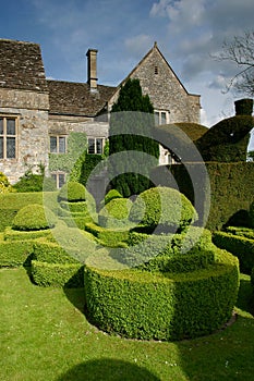 Topiary 1