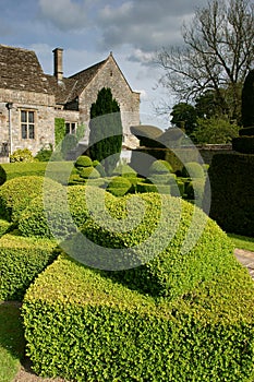 Topiary 2 photo