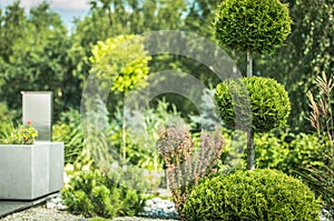 Topiary Art of Clipping Shrubs