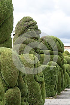 Topiary in the cemetery of the high altitudetown