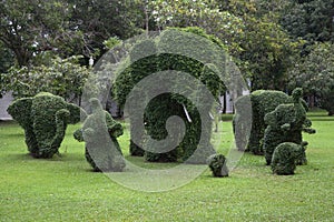 Topiary of Elephants at Bang Pa-In Palace