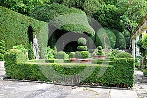 Topiary in a Formal Garden photo