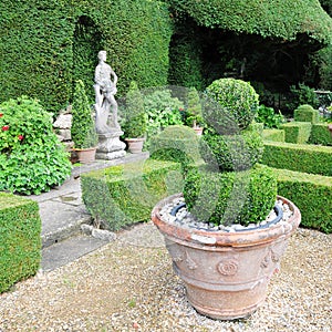 Topiary in a Formal Garden